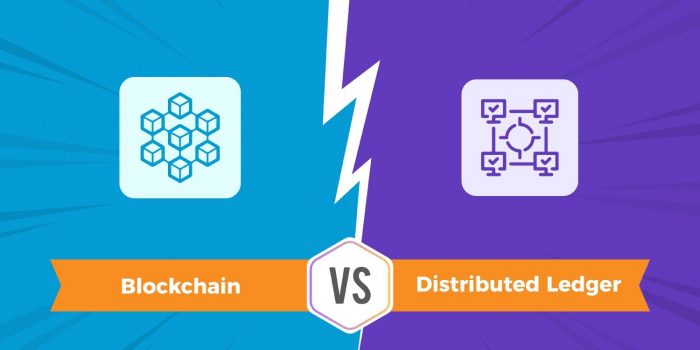 blockchain vs distributed ledger