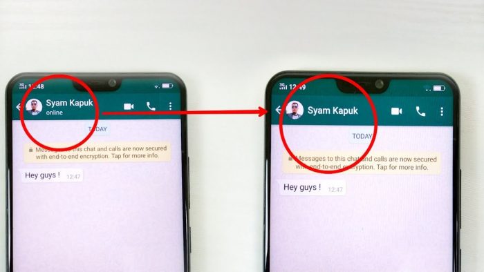 how to hide whatsapp online status on iphone
